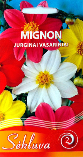 Vasariniai jurginai MIGNON mix 1g