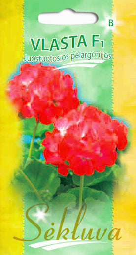 Pelargonijos krūminės VLASTA F1 5s