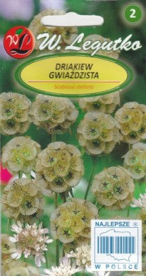 Žvaigždiškos žvaigždūnės 1g