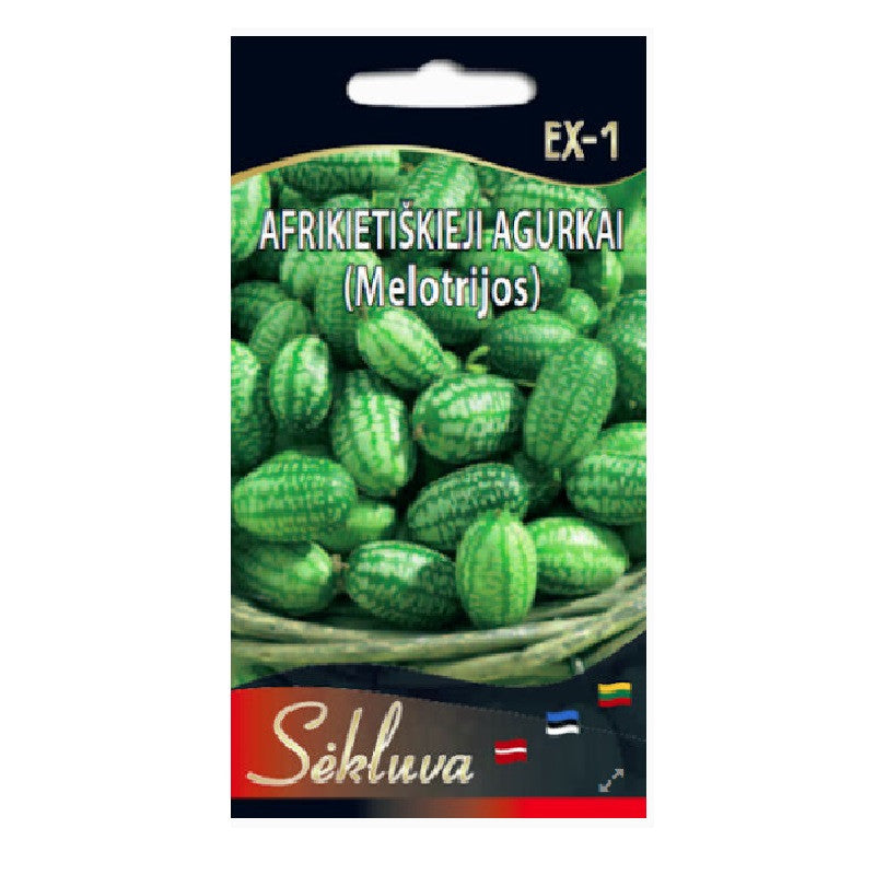 Afrikietiškieji agurkai  20s
