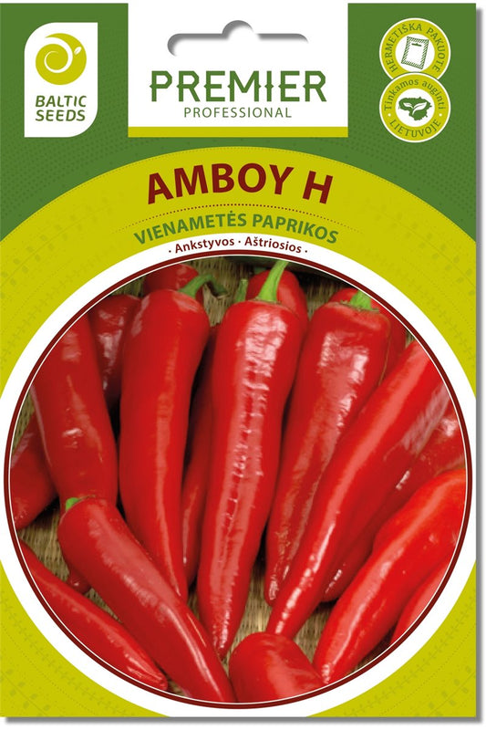 Paprikos aštriosios  AMBOY H 10s