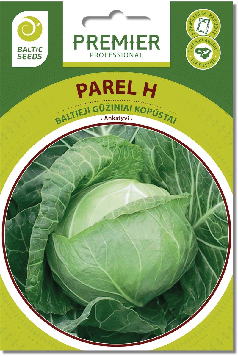 Baltieji gūžiniai kopūstai  PAREL H  30 s