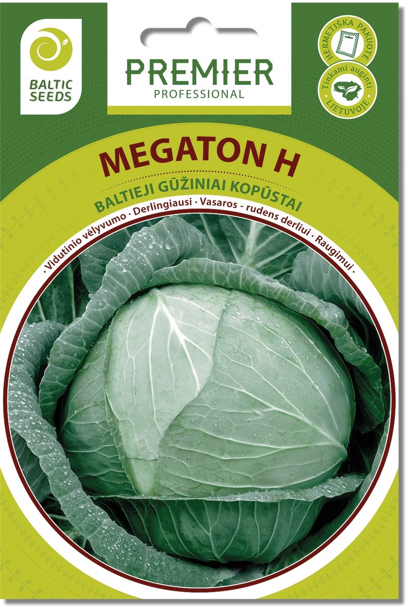 Baltieji gūžiniai kopūstai  MEGATON H  45 s
