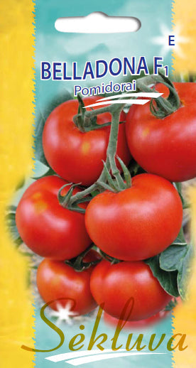 Pomidorai BELLADONA  F1 10s