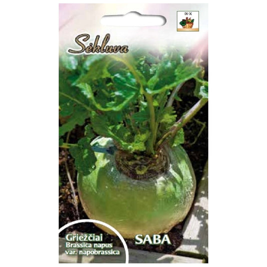 Griežčiai  SABA  20g