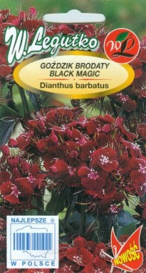 Šiurpiniai gvazdikai BLACK MAGIC 0,5g