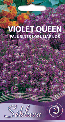 Pajūrinės lobuliarijos VIOLET QUEEN 0,3g