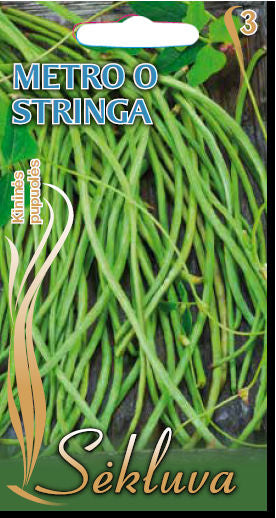 Kininės pupuolės METRO O STRINGA 10g