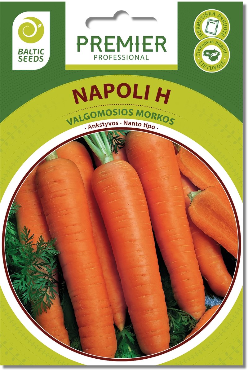 Morkos NAPOLI H  600 s