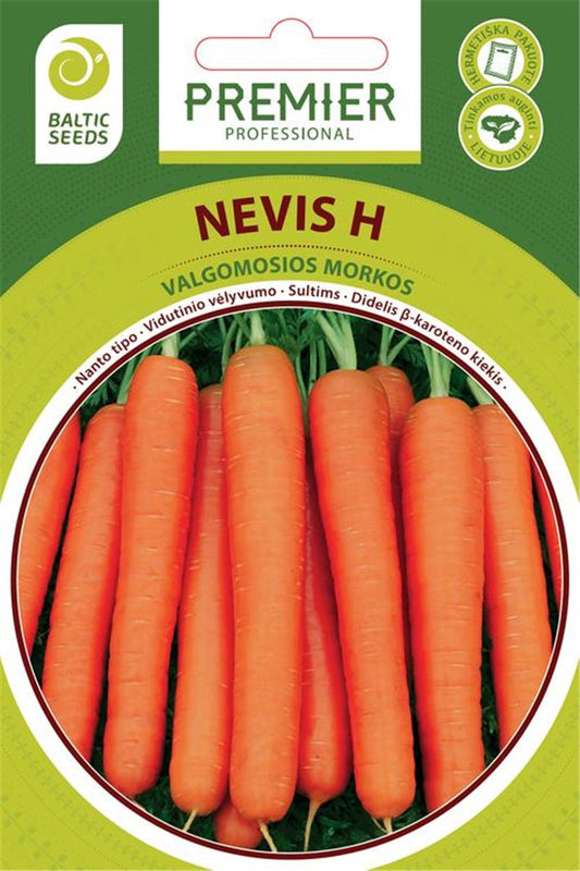 Morkos NEVIS H  600 s