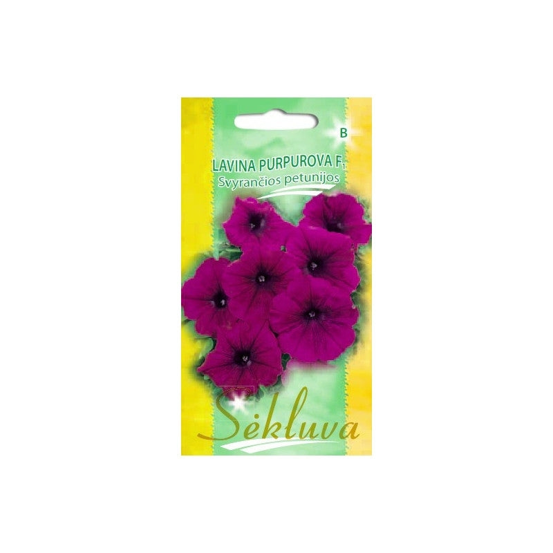 Svyrančios petunijos LAVINA PURPUROVA F1 30s