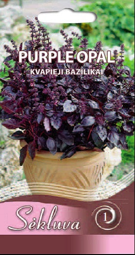 Kvapieji bazilikai PURPLE OPAL 0,5g