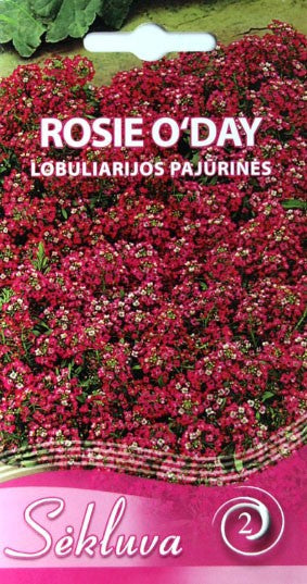 Pajūrinės lobuliarijos ROSIE O/DAY  0,3g