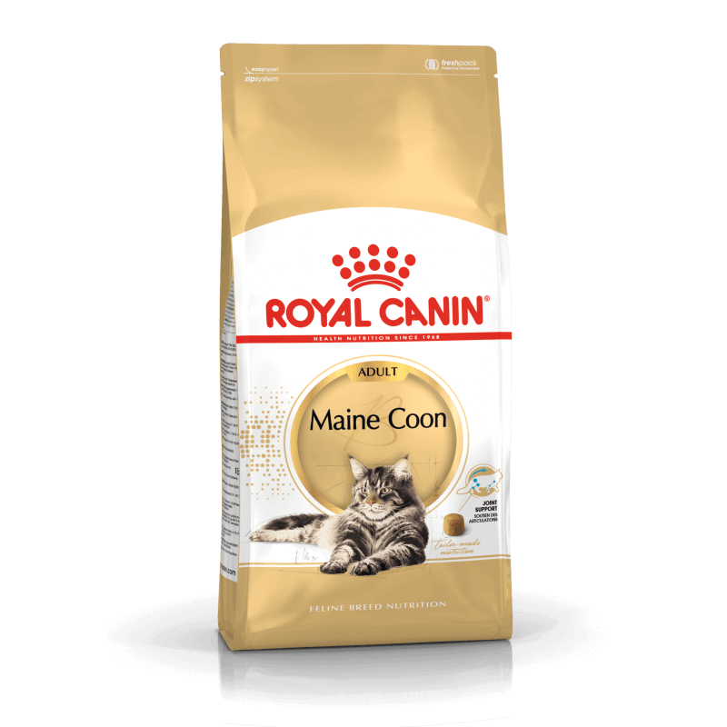 ROYAL CANIN MAINE COON sausas pašaras katėms