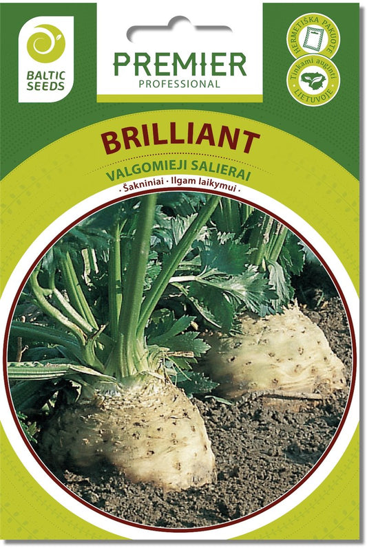 Šakniniai salierai BRILLIANT 100s