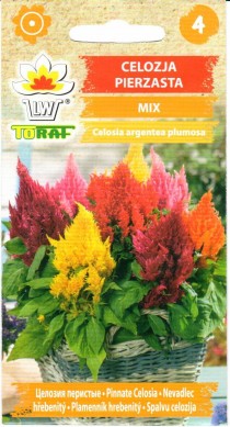 Šluotelinės celiozijos  0,5g