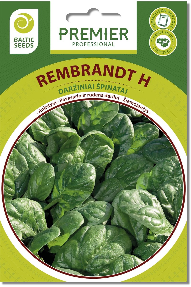 Daržiniai špinatai REMBRANDT H 300s
