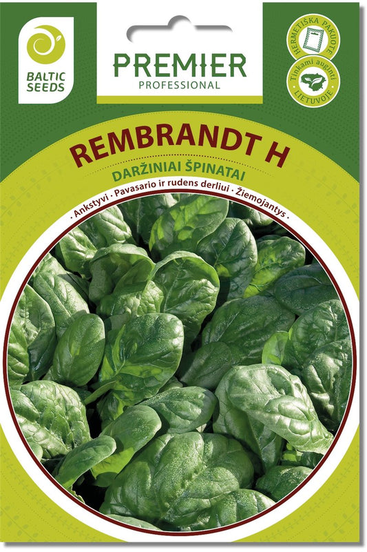 Daržiniai špinatai REMBRANDT H 300s