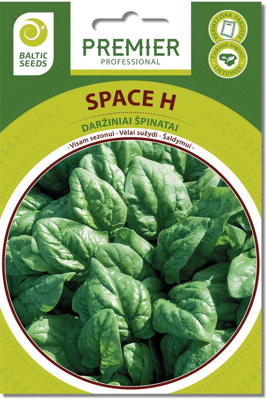 Daržiniai špinatai SPACE H 300s
