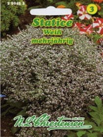 Totorinis kermėkas 30s