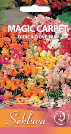 Didieji žioveiniai MAGIC CARPET 0,3g